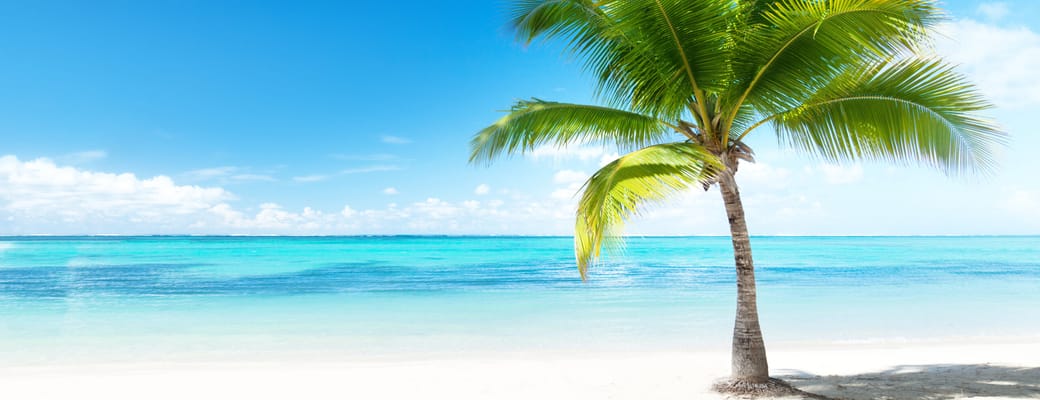 caribien sand strand palme