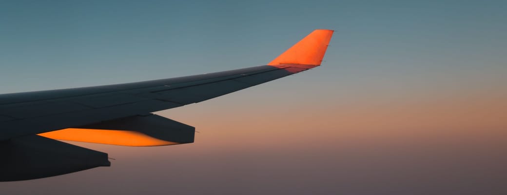 Flyvinge i silhuet mod den orange og lyser&oslash;de solnedgangshimmel