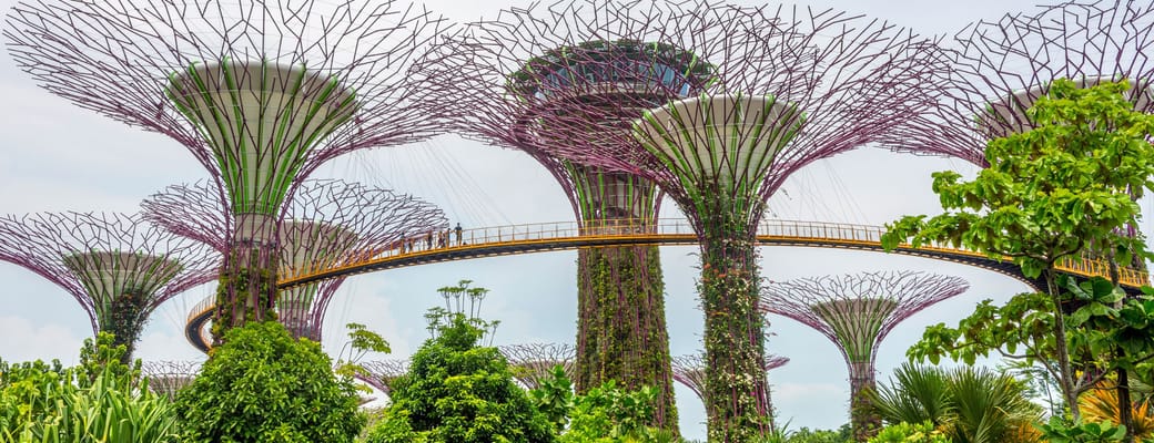 Gardens by the Bay Supertrees struktur i Singapore omgivet af frodig tropisk have og palmer