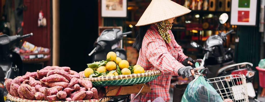Vietnamesisk kvinde p&aring; cykel med traditionel keglehat s&aelig;lger friske frugter og gr&oslash;ntsager