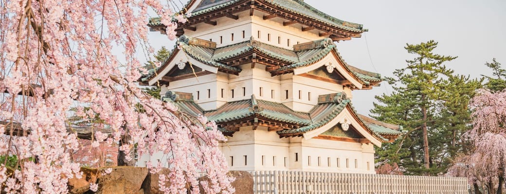 Hirosaki slot i Aomori med hvidt t&aring;rn og rosa kirseb&aelig;rblomster i forgrunden under for&aring;ret