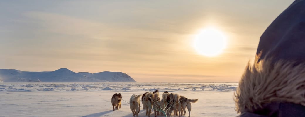 Gr&oslash;nland hundesl&aelig;de solnedgang