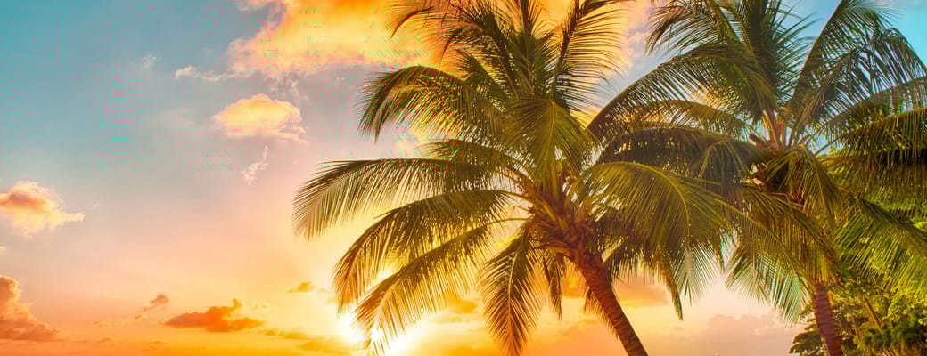 caribien barbados solnedgang