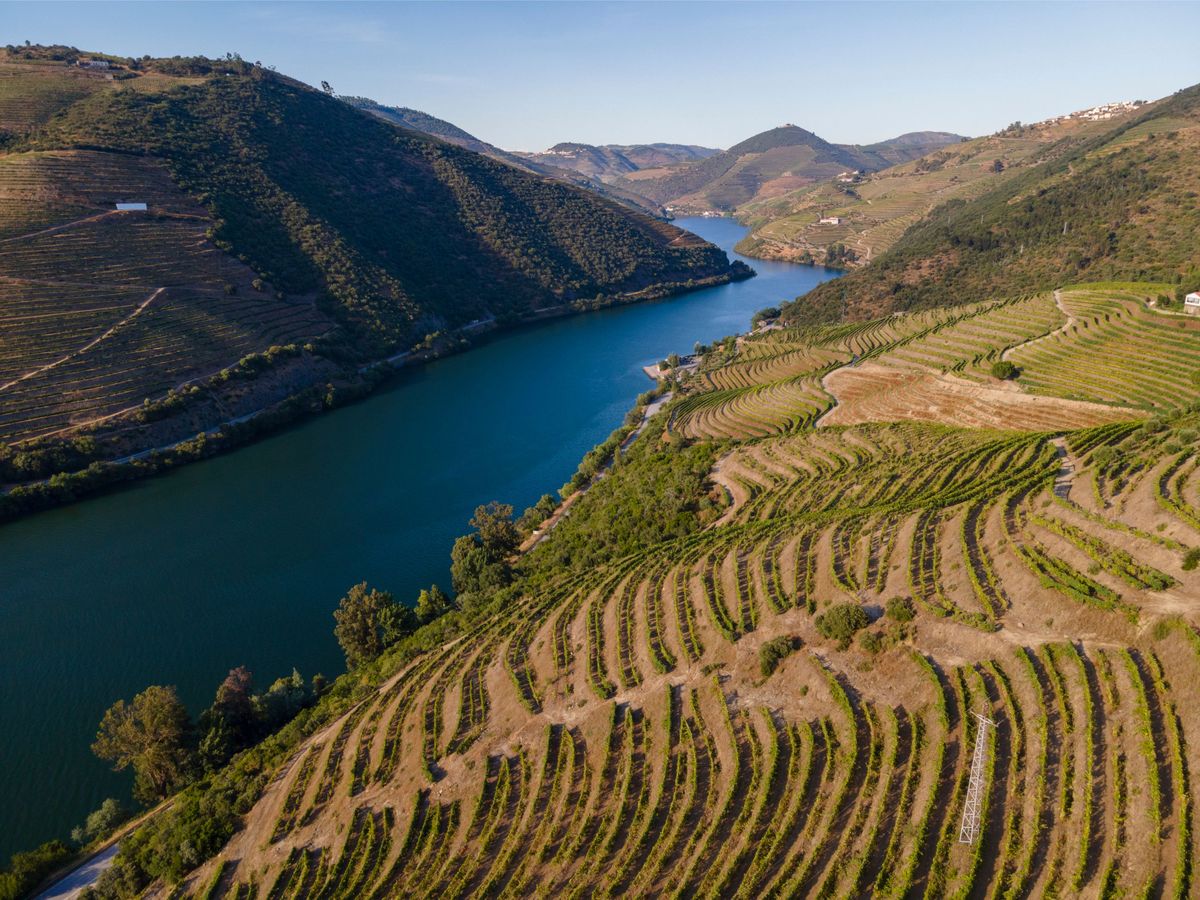 En sanselig rejse gennem Douro-dalens hjerte