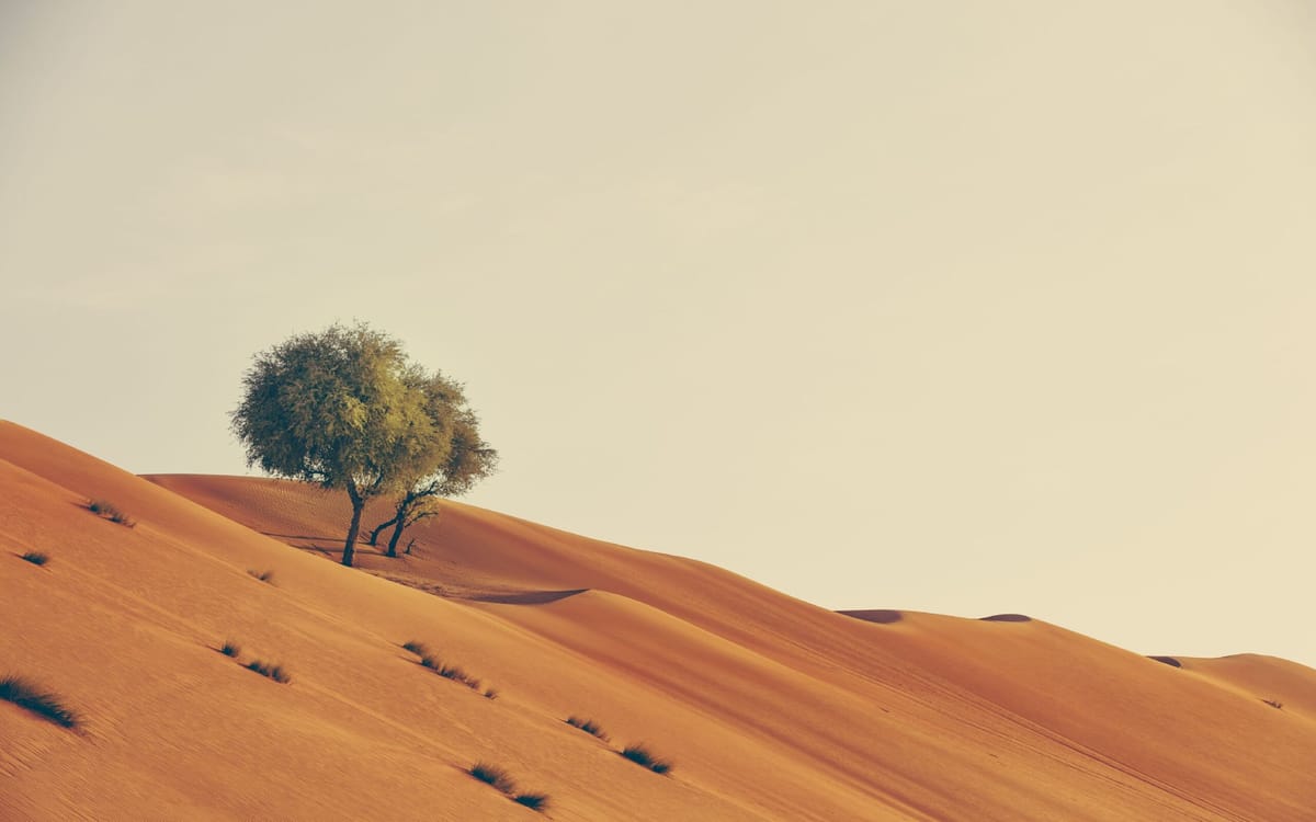 Featured Image