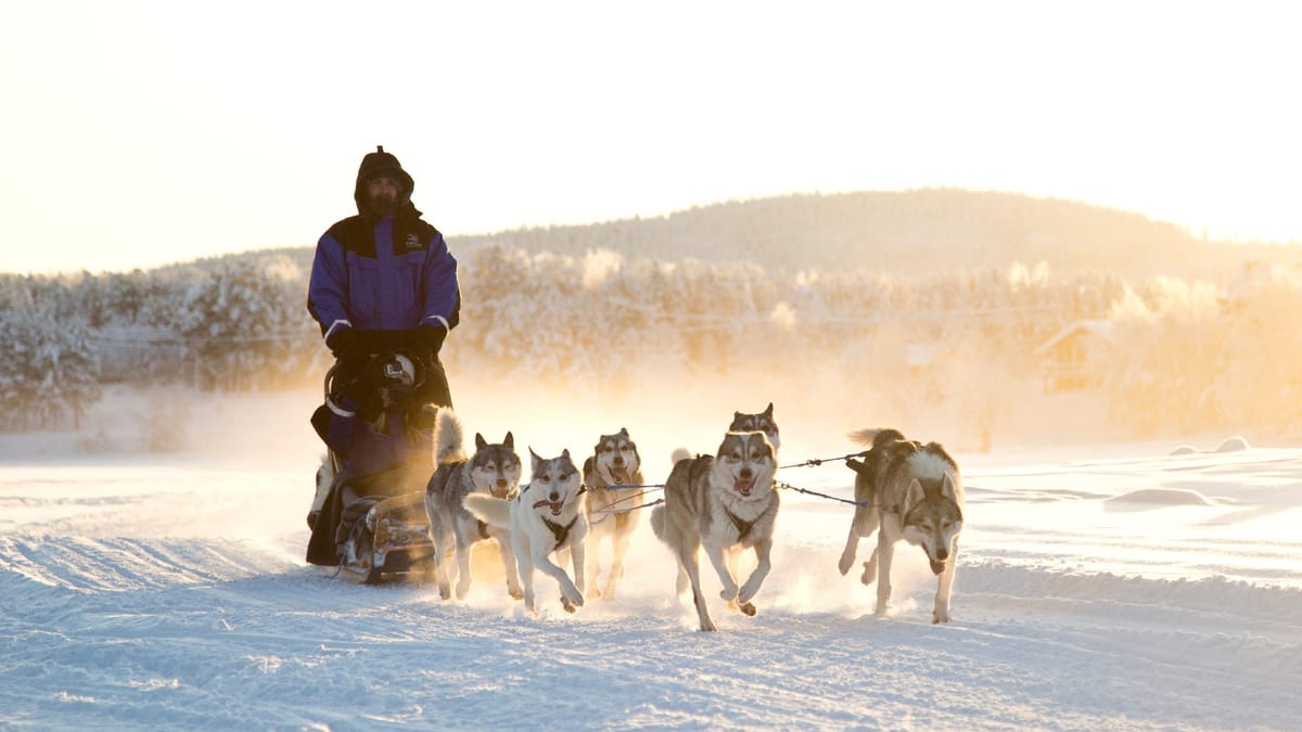 Vildmarkseventyr i Lapland