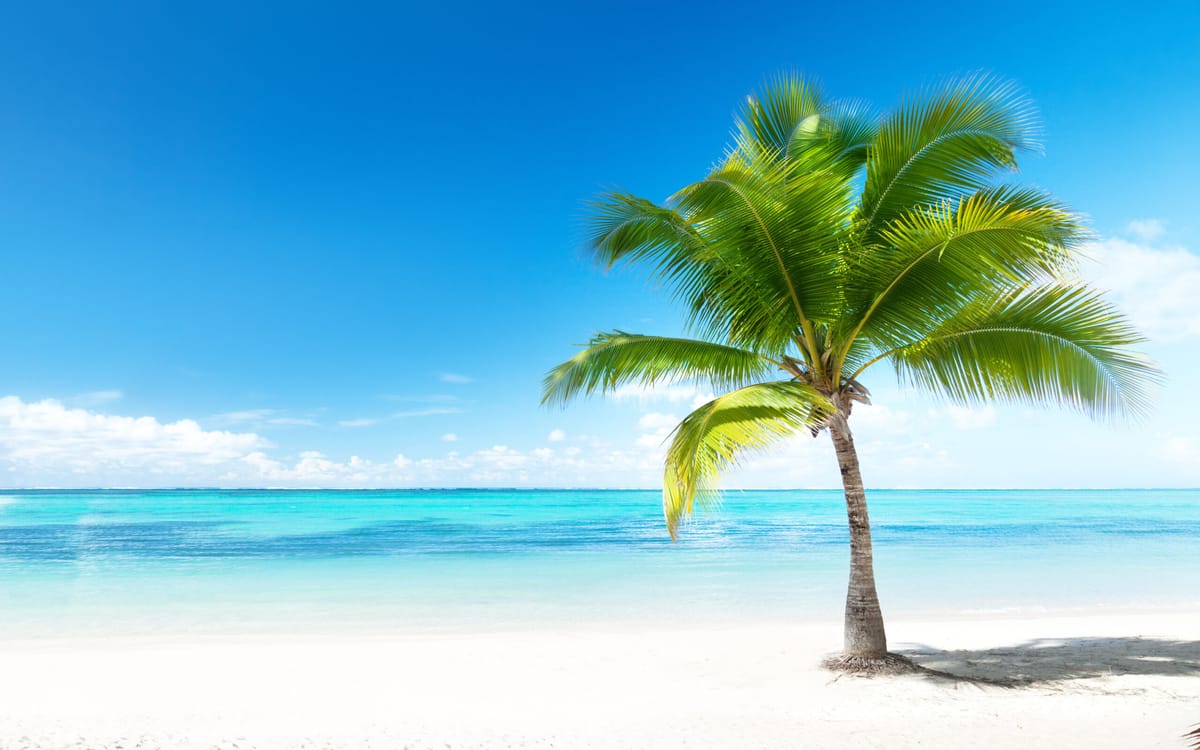 Oplev Caribien fra Barbados – luksus hele vejen