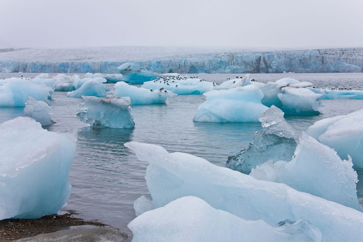 Svalbard Ekspedition. Eventyret nord for alting