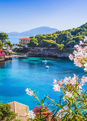 graekenland kefalonia bugt blomster scaled