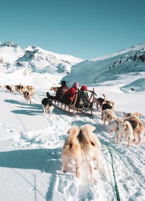 Gr&oslash;nland hundeslaede
