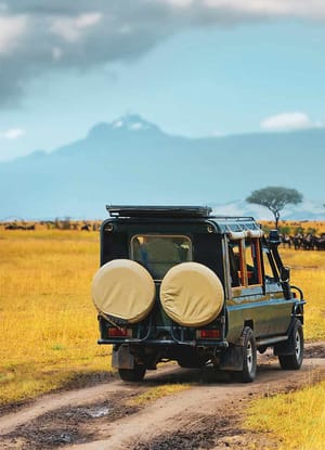 Safari ved foden af Kilimanjaro