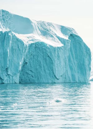 Grønland Ilulissat isfjord hval dykker viser hale
