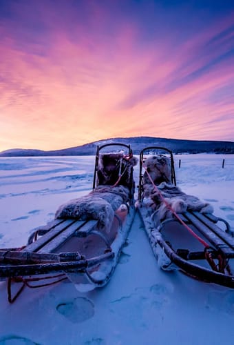 Hundesl&aelig;de i Svensk Lapland Torne River Icehotel