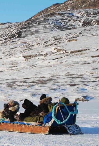 Grønland Kangerlussuaq, Hundeslæde, Slædehunde, Udflugt, Snelandskab, Natur
