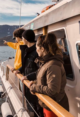 Grønland Sisimut, Bådtur, Udflugt, Assaqutaq, Natur
