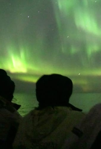 Island Reykjavik havet fede udflugt nordlys p&aring;