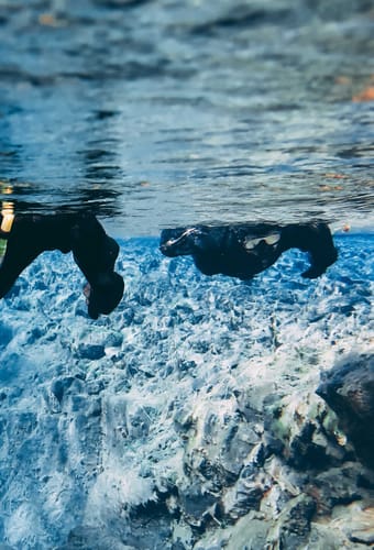 Island, snorkling i Thingvallavatn mellem kontinentalpladerne
