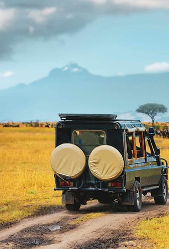 Safari ved foden af Kilimanjaro