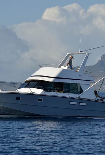 mauritius dybhavsfiskeri udflugt