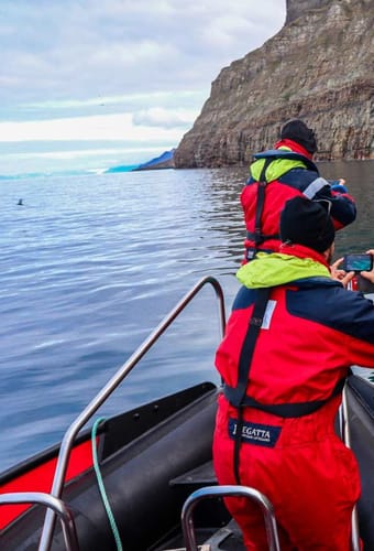 Norge svalbard isfjord whales photo eveline lunde scaled Hurtigruten safari