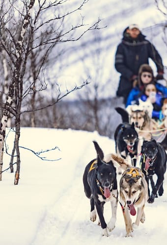 Norge tromsoe Tamok-dalen dalen hundeslaede norwegian travel1 scaled