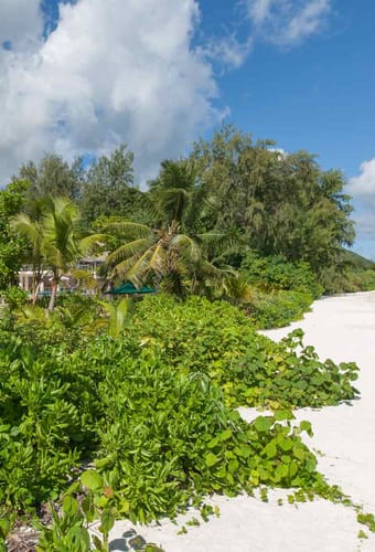 seychellerne praslin acajou beach strand2 resort