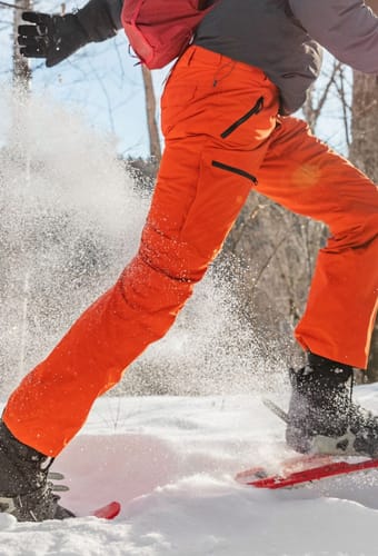 snesko