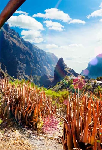 Spanien Tenerife masca dalen