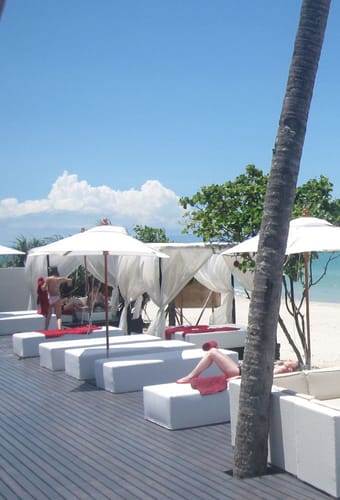 Thailand, Khanom, Aava Resort & Spa, Beach Cows