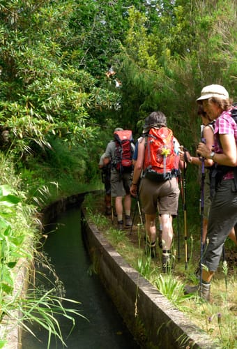 Madeira Levada Vandring