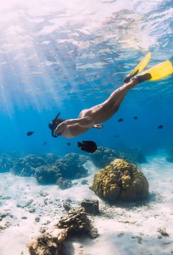 zanzibar snrokle tur til mnemba island scaled