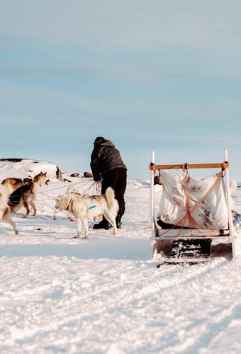 Gr&oslash;nland ilulisat iglo hundeslaede med joergen stu lodge