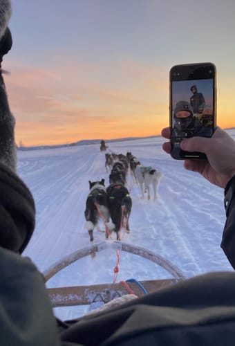 husk at tage billeder p&aring; hundesl&aelig;deturen