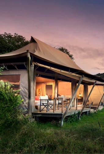 Kenya Masai Mara Mara and beyond kichwa tembo tented superior tent lejr