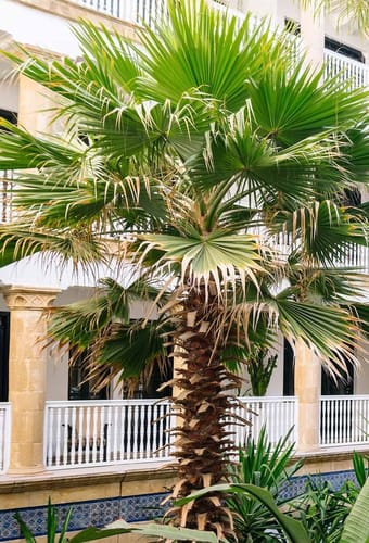 Marokko-essaouira-heure-bleu-hotel