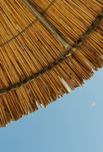 parasol halkidiki scaled