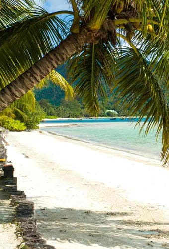 seychellerne praslin indian ocean stranden lodge