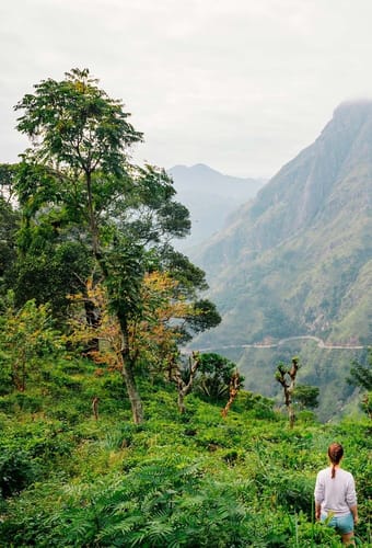 sri lanka ella kvinde nyder udsi