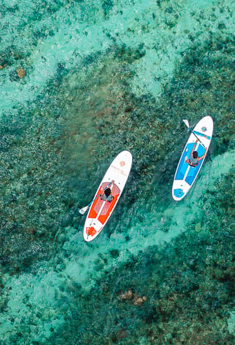 stand paddle