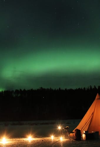 Sverige Lapland Treehotel Night