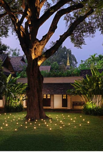 Thailand, Chiang Mai, Tamarind Village, Garden Area