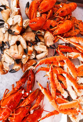 seafood norge
