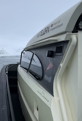 uffe ellen svalbard kvitbjoern scaled
