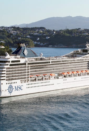 msc13014437