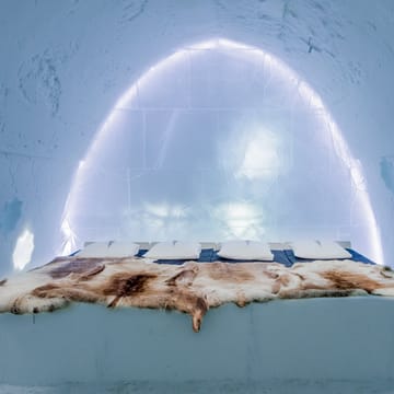 Svensk Lapland Icehotel Art Suite