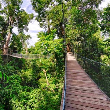 Malaysia, Borneo, Gaya Island Bungaraya Island Resort Canopywalk