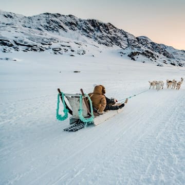 Gr&oslash;nland Sisimut, Hundesl&aelig;de, Snelandskab, Udflugt, Natur