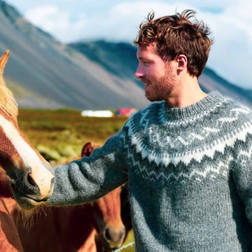mand-klapper-islands-hest
