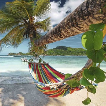 seychellerne haengekoeje palme ved strand på