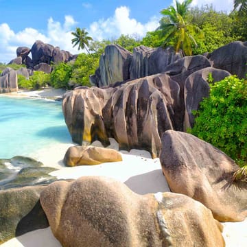 seychellerne mahe heldagstur til praslin digue udflugt